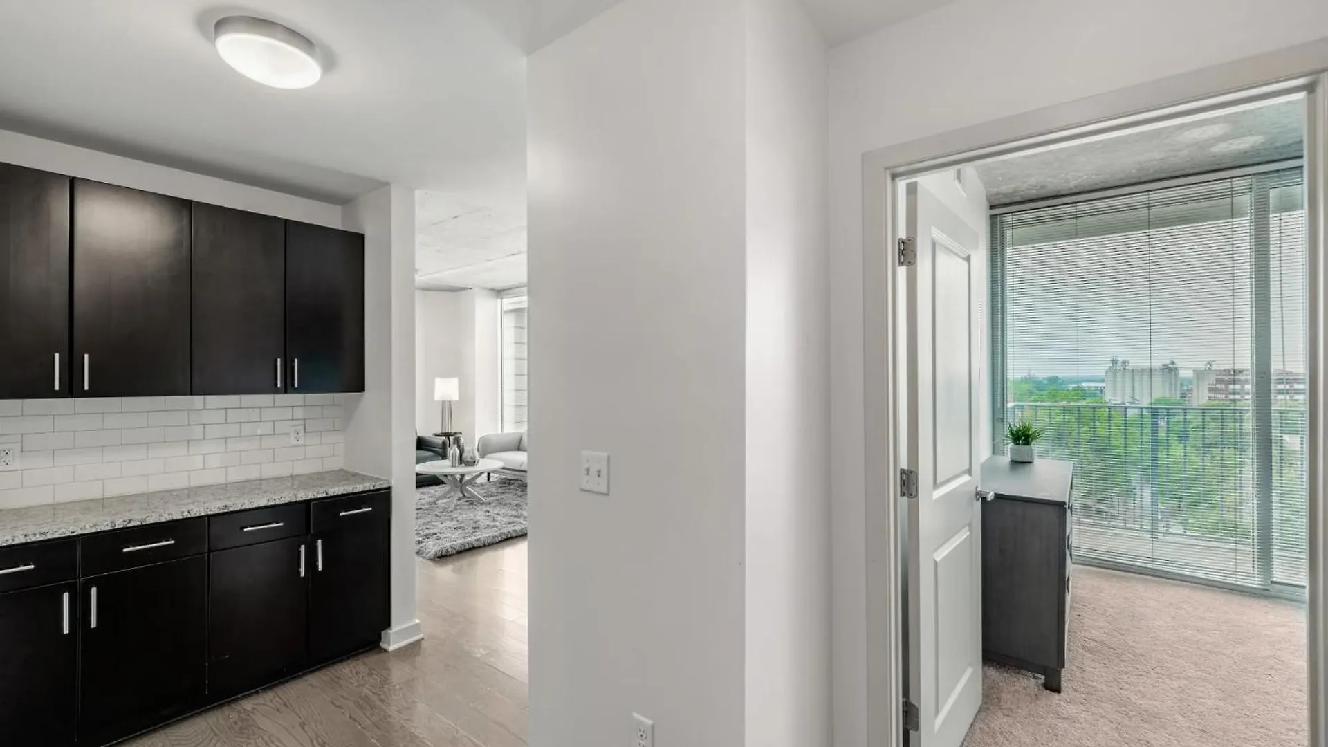 The Ascher In Charlotte Apartment