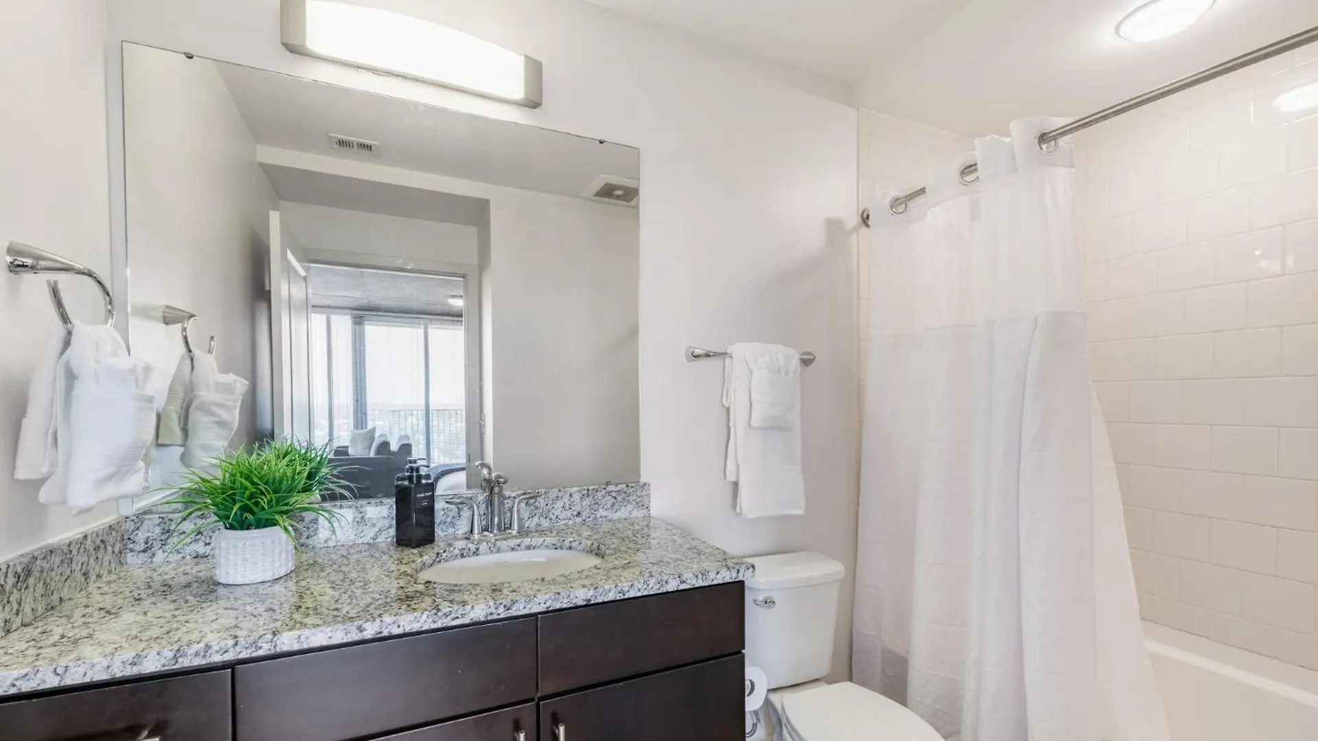 Apartment The Ascher In Charlotte United States